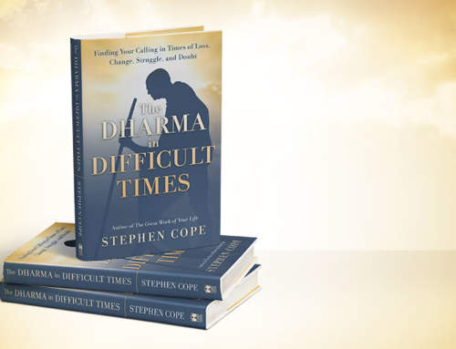 Stephen is pleased to announce the availability of his new book, THE DHARMA IN DIFFICULT TIMES