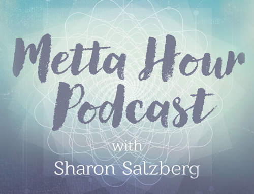 Stephen Cope on the Metta Hour Podcast with Sharon Salzberg