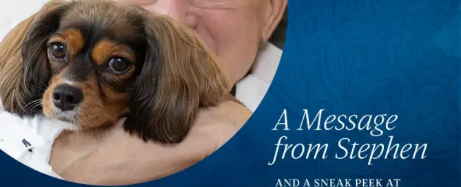 A Message from Stephen and a Sneak Peek at What's Ahead