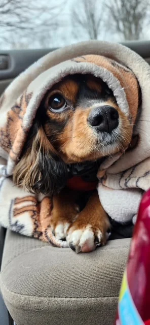Kenzie-blanket